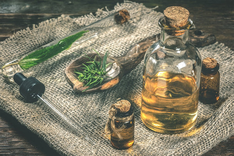 What Is The Difference Between Hemp Oil And CBD Oil