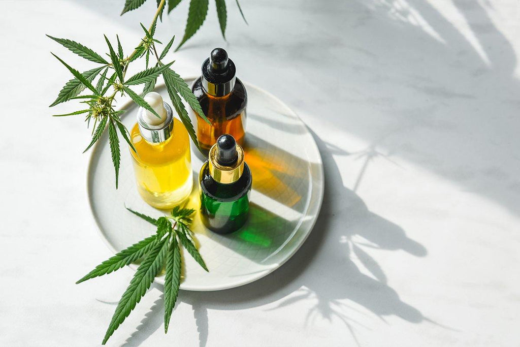 How To Revive Your Hair And Scalp With Hemp Oil