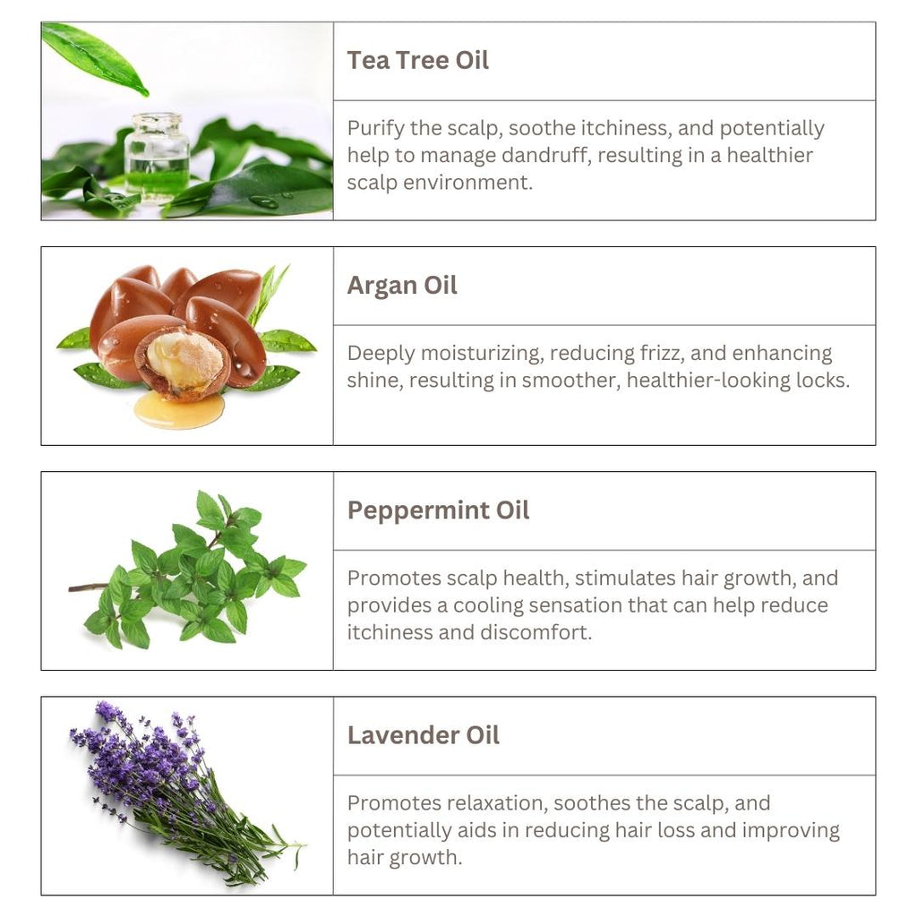 Tea Tree & Argan Oil Shampoo Shampoo Luseta Beauty 