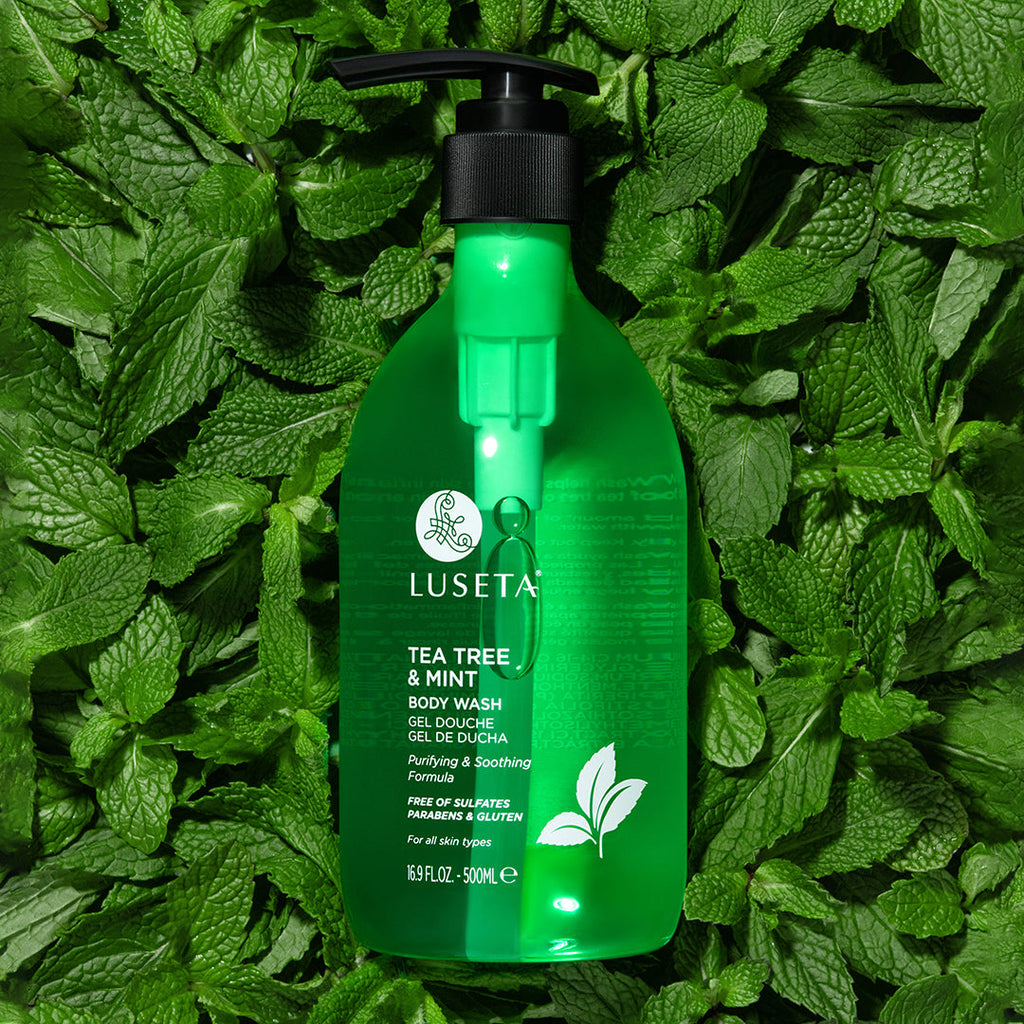 Tea Tree & Mint Body Wash Body Wash Luseta Beauty 16.9oz 