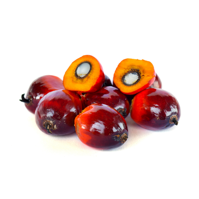 Batana Oil