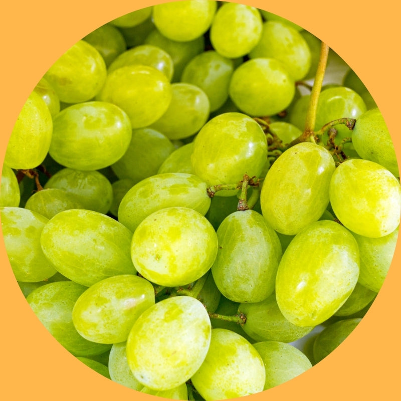 Vitis Vinifera (Grape) Seed Oil