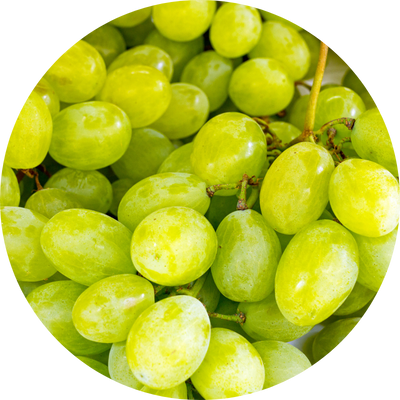 Grape Seed Oil