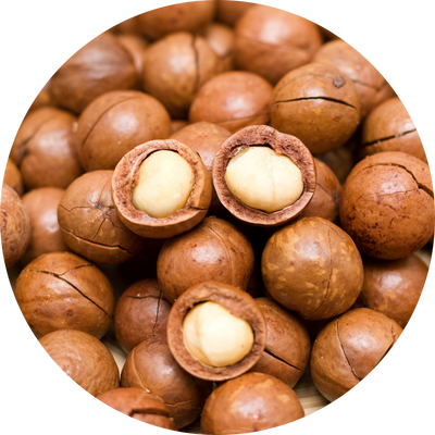 Macadamia Seed Oil