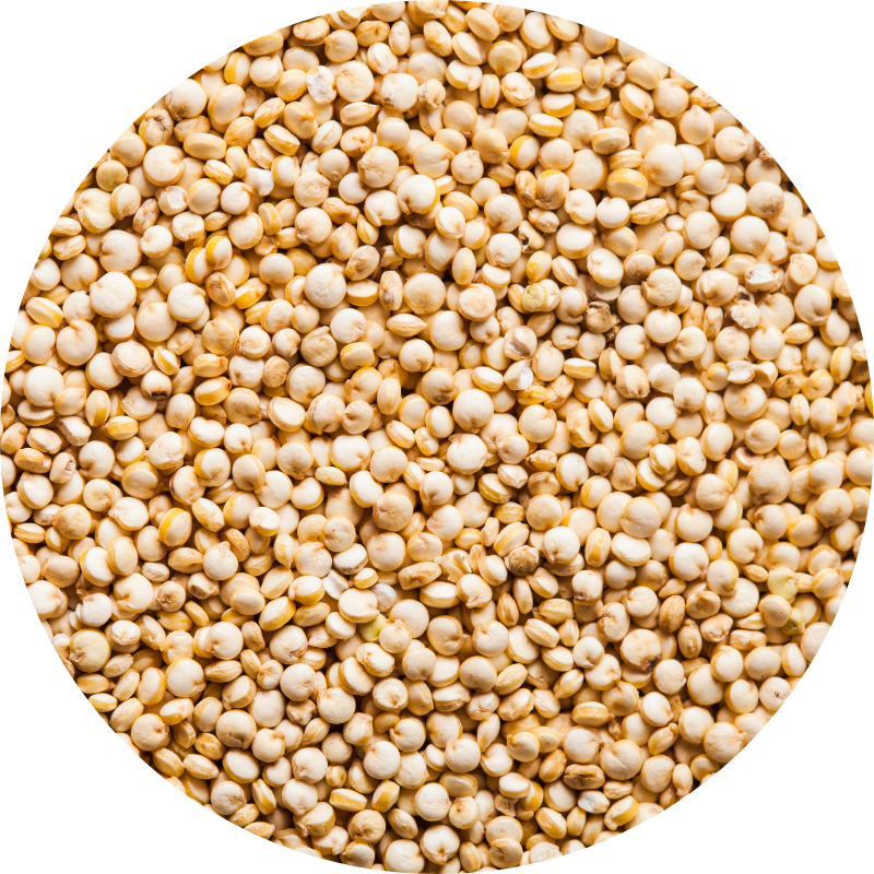 Quinoa Seed Extract