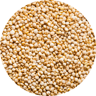 Quinoa Seed Extract