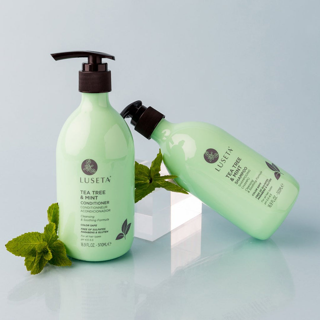 Tea Tree & Mint Bundle - Luseta Beauty