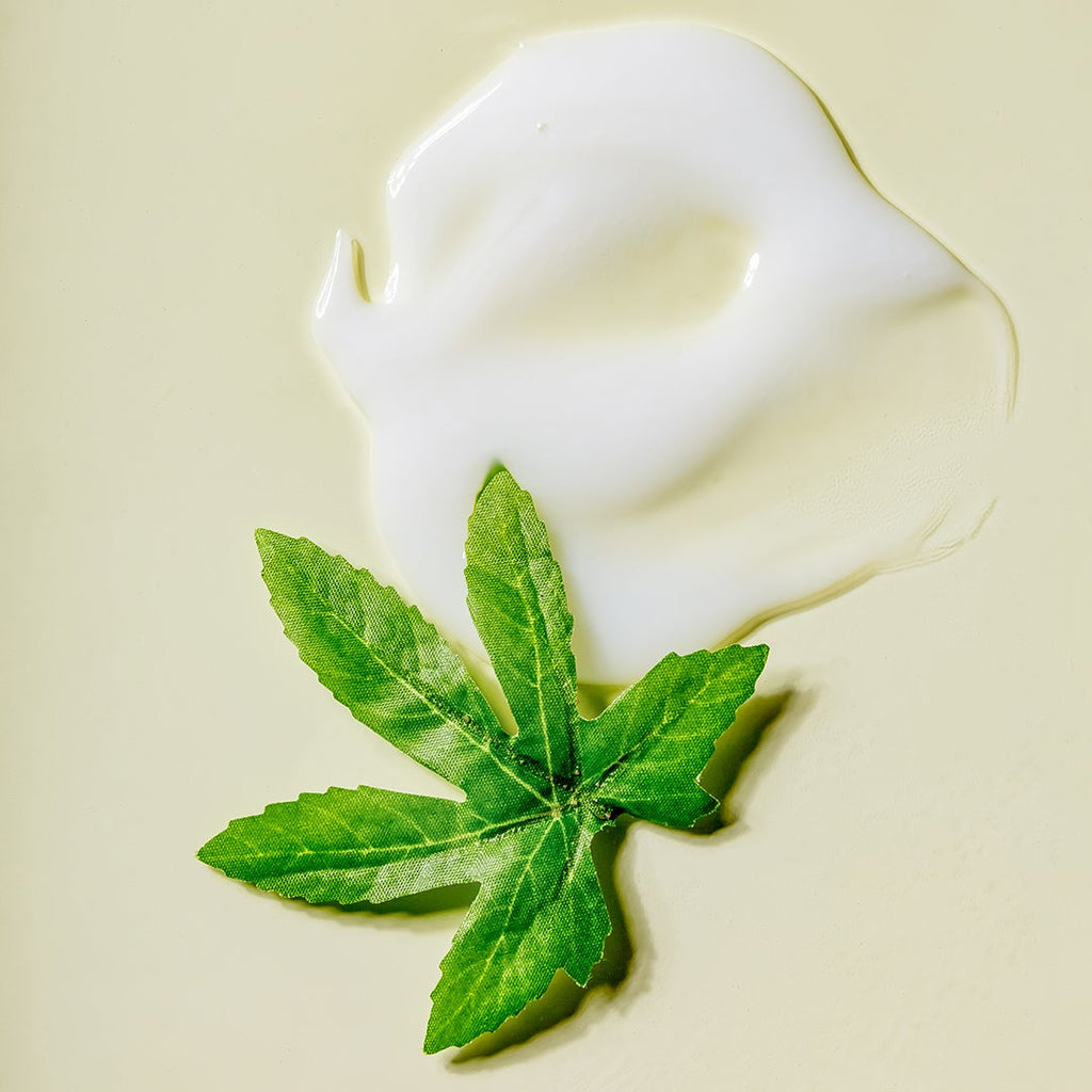 Castor & Hemp Oil Leave-in Conditioner Hair Treatment Luseta Beauty 